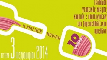 “VorOina” Wines & Spirits Fair celebrates its 10th anniversary in Athens