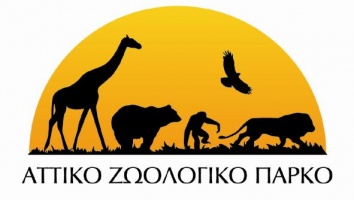 Attica Zoological Park: The best Sunday outing for Athenians and visitors