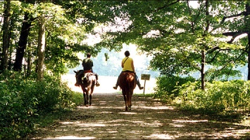 Christmas with horse riding within the beautiful Arcadic nature