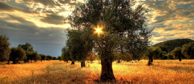 Ανακαλύψτε τις ομορφιές της Μάνης κάνοντας πεζοπορία