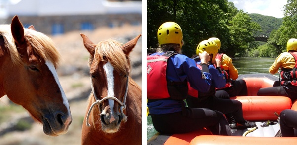Rafting or horse riding?