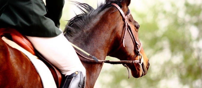 Trikala of Korinth: Become one with nature at the Free Horseriding Center